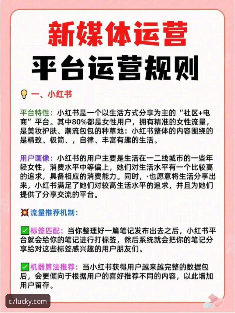C7电子娱乐平台安全使用实用指南：从入门到精通的必备知识